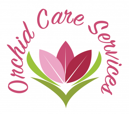 Orchid Care